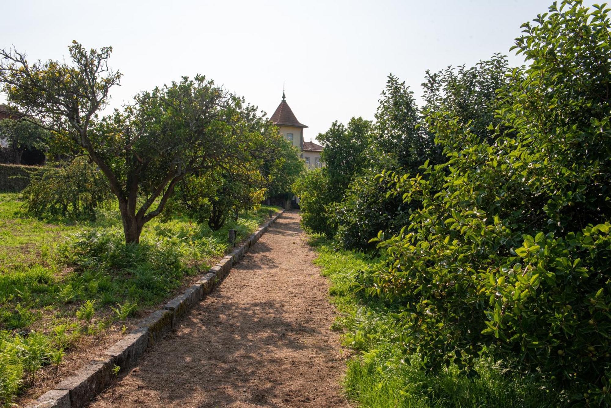 Casa Da Torre Luxury Villa In 布拉加 外观 照片